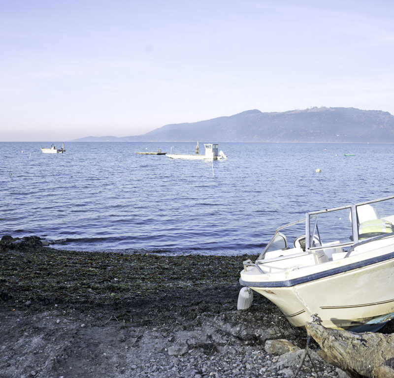 boat on a beach overlooking Samish Bay