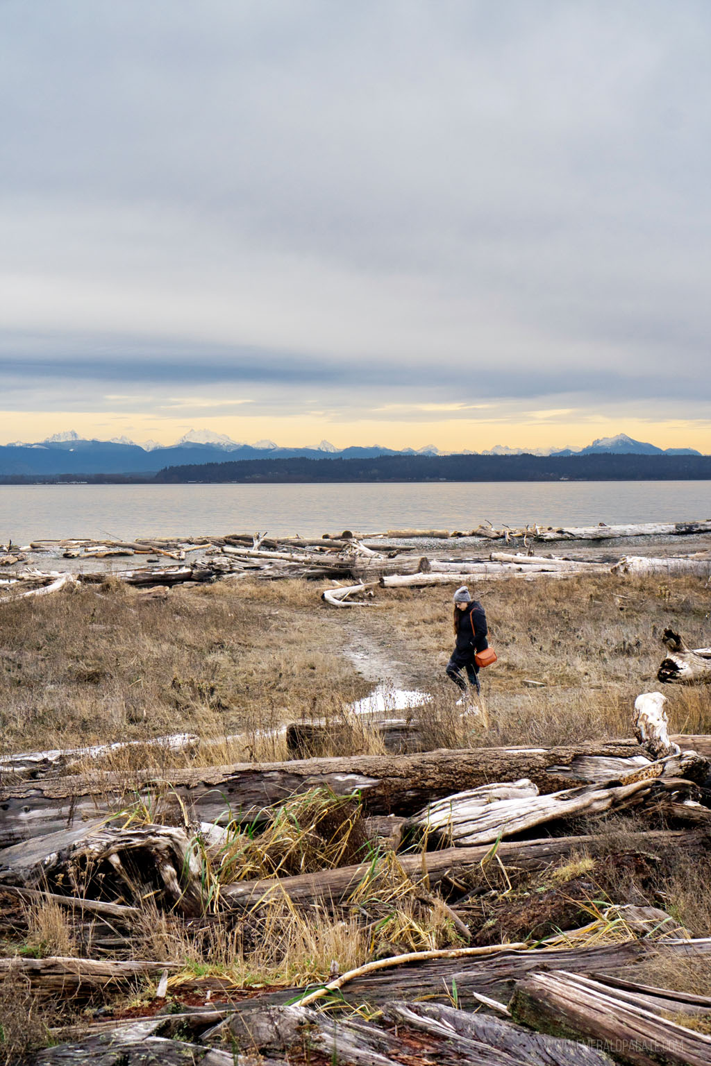 person walking along Iverson Spit Reserve, one of the best things to do on Camano Island