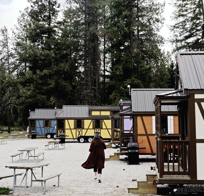 tiny cabins near the Skagit Valley Tulip Festival