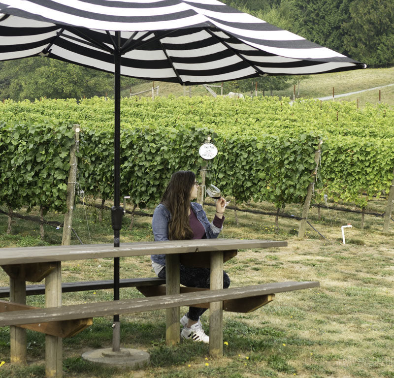 Whidbey Island Wineries You Don’t Want to Miss