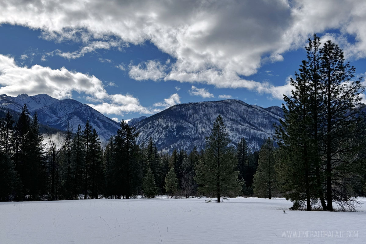 snowy mountains in Methow Valley, WA