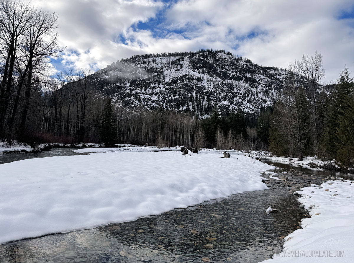 View off a river on a cross-country skiing trail in Mazama, WA
