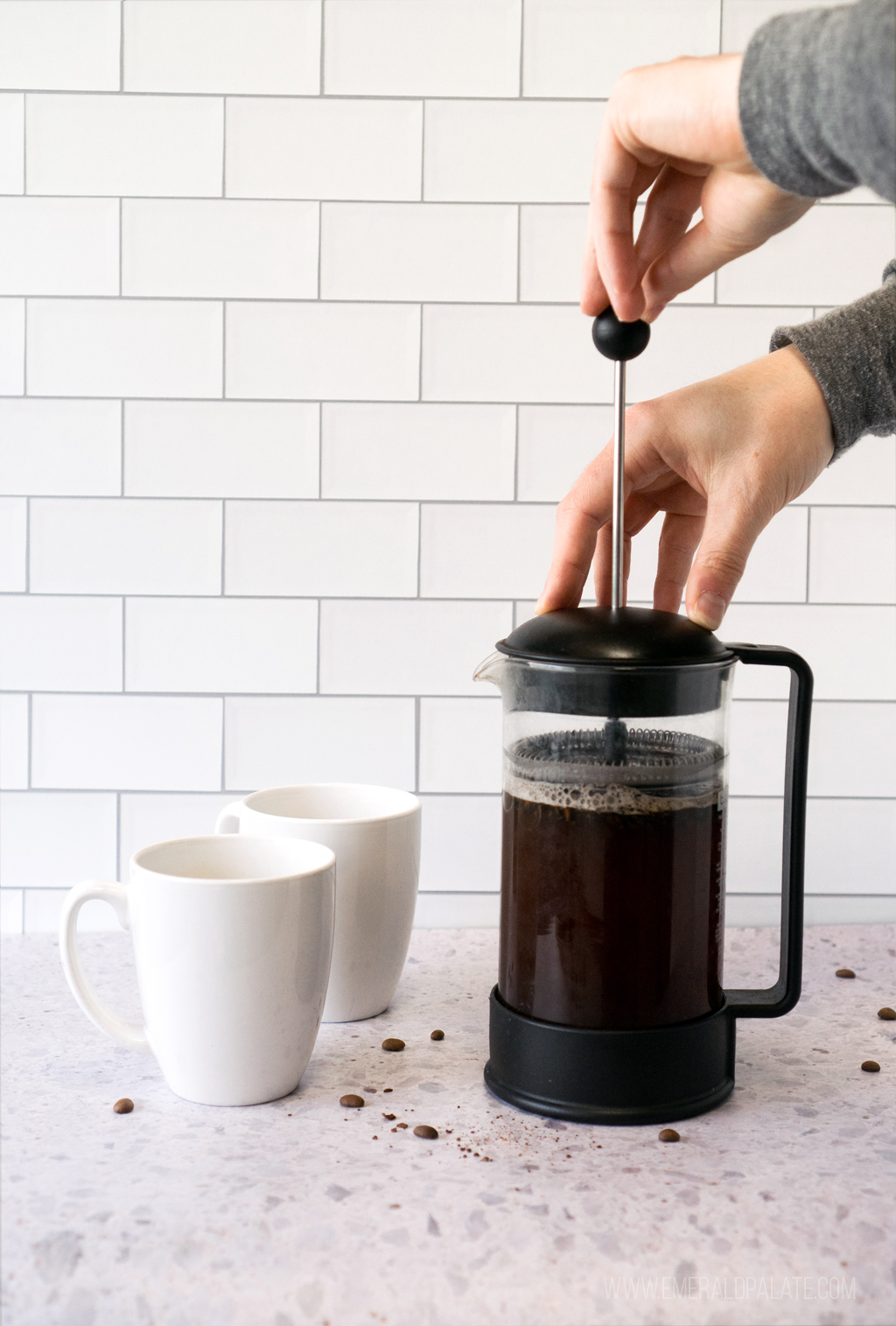 person pushing the plunger of a French press