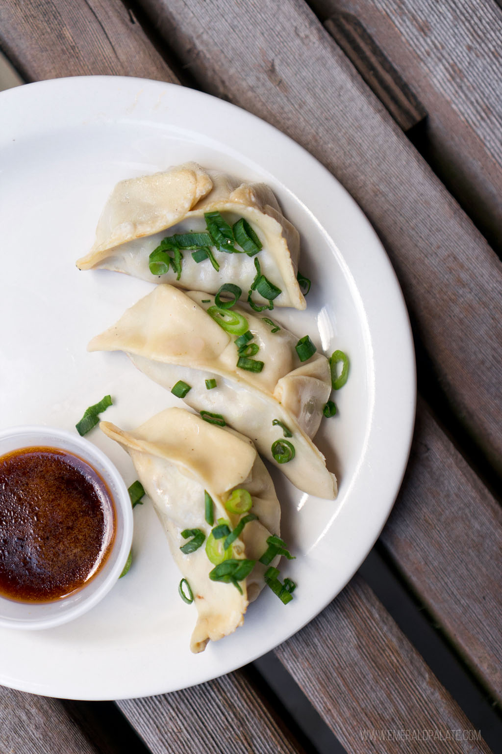 plate of 3 goyza from a restaurant on Lopez Island, Washington