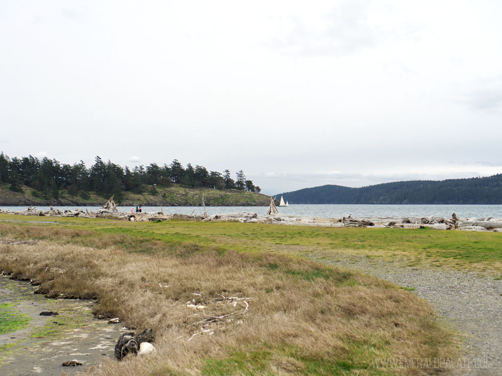 Spencer Spit State Park beach on Lopez Island