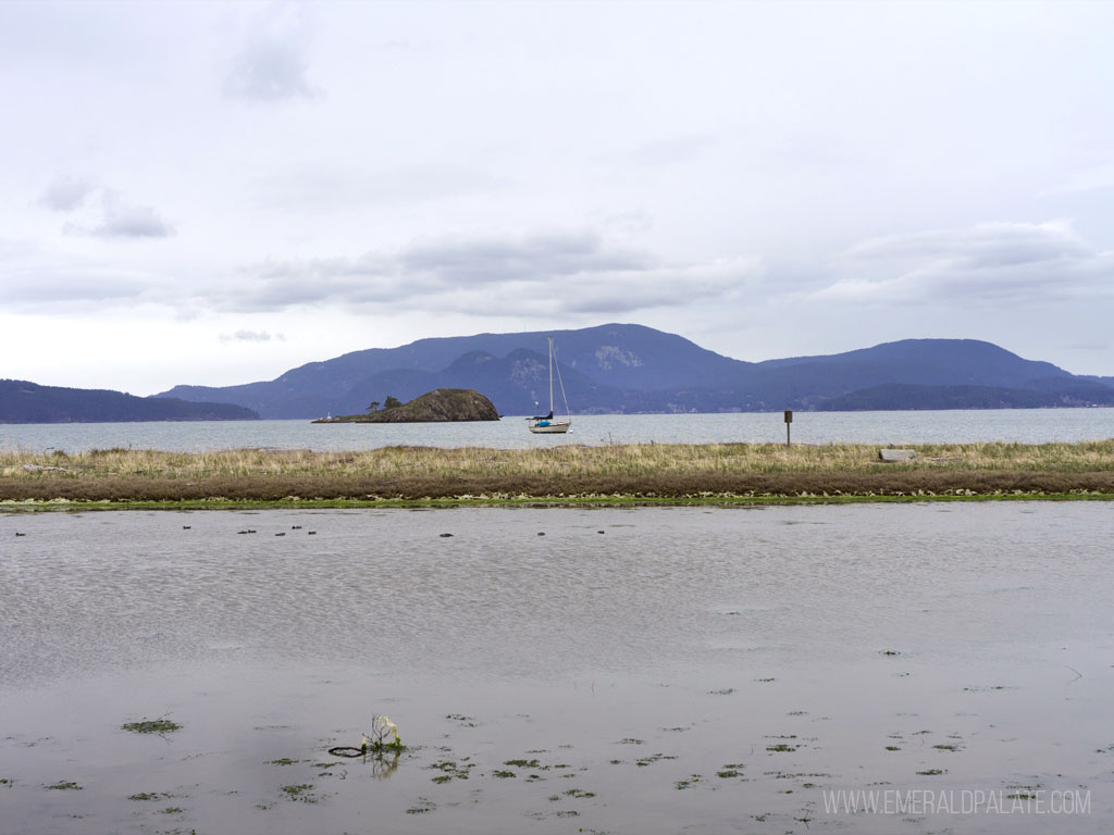 preserve at Spencer Spit State Park on Lopez Island