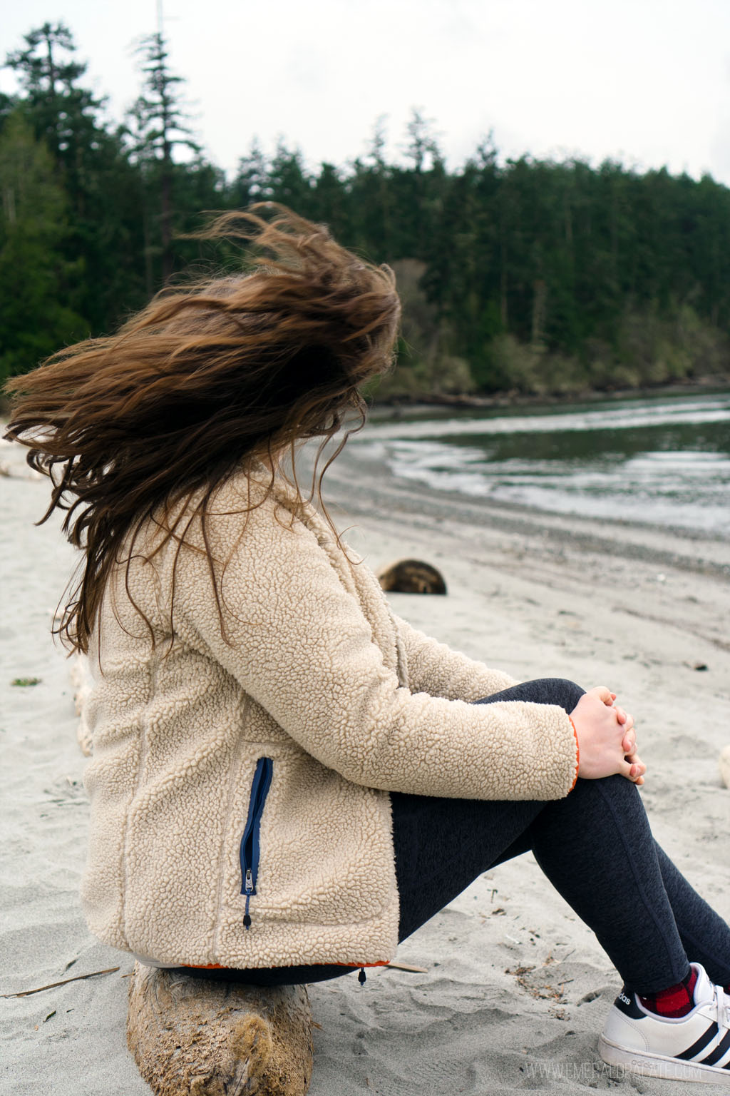 woman's hair blowing in the wind at the beach 