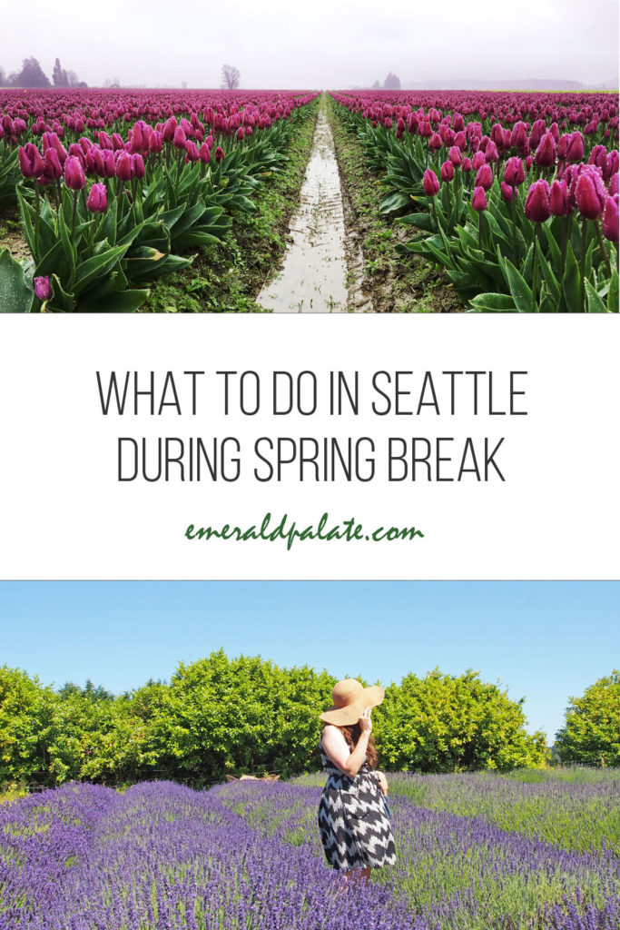 what to do in Seattle during spring break