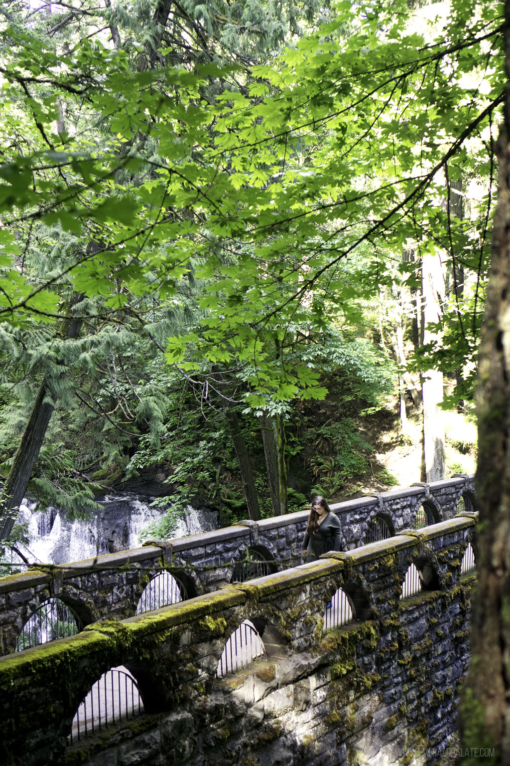 woman crossing bridge at Whatcom Falls, a must do in this Bellingham guide