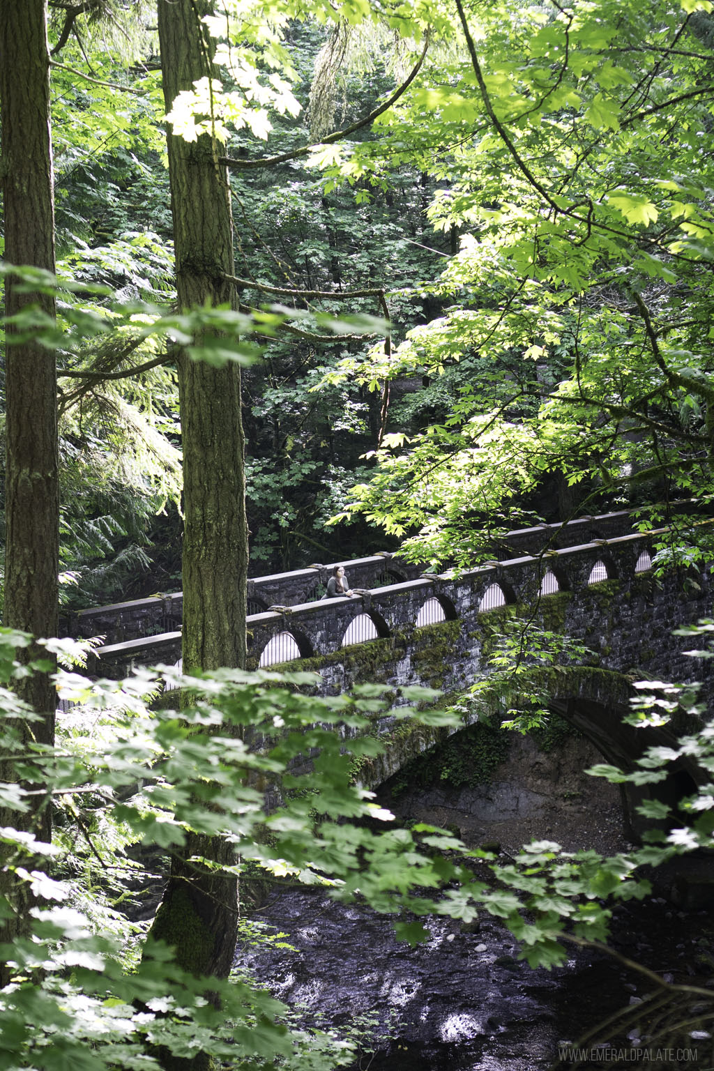 woman crossing stone bridge at Whatcom Falls in Bellingham