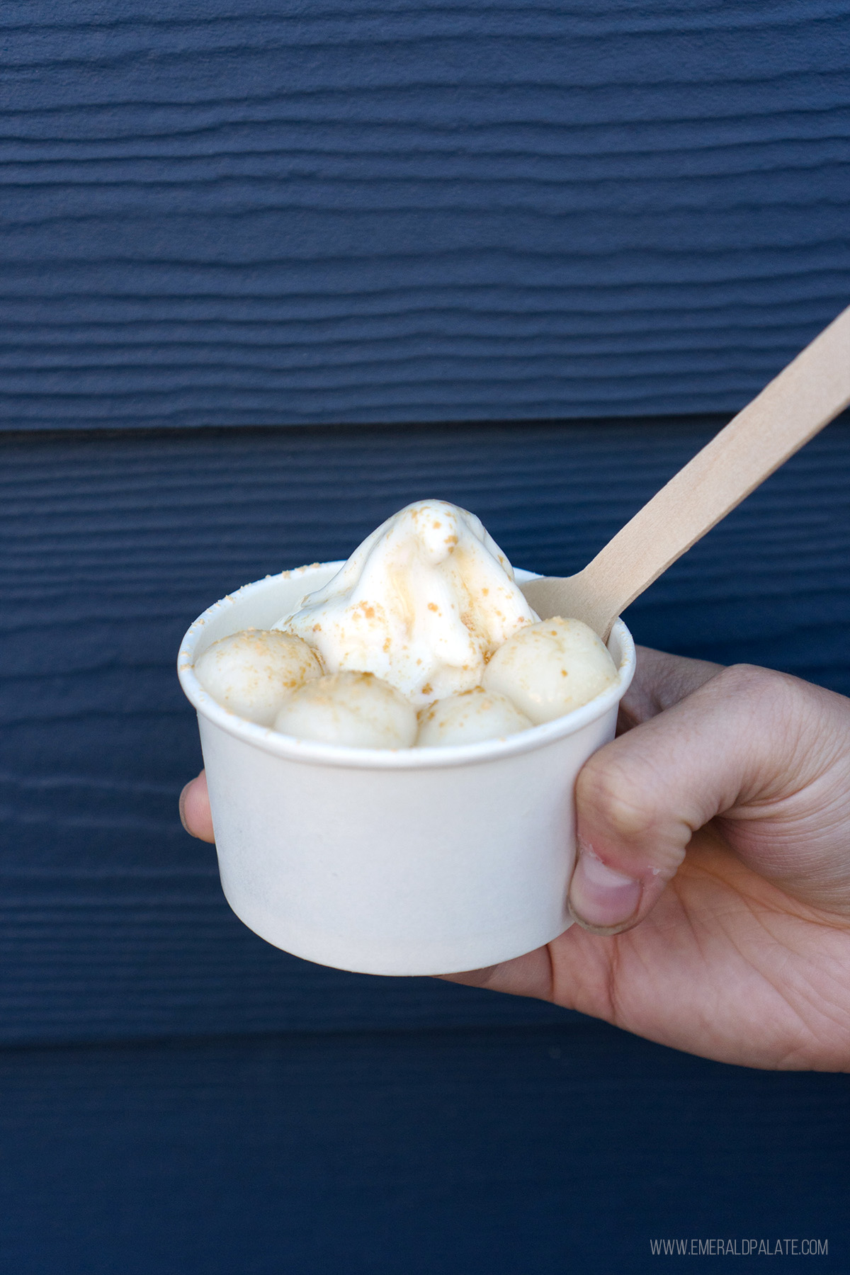 cup of soft serve vanilla ice cream and mochi from a Seattle ice cream spot