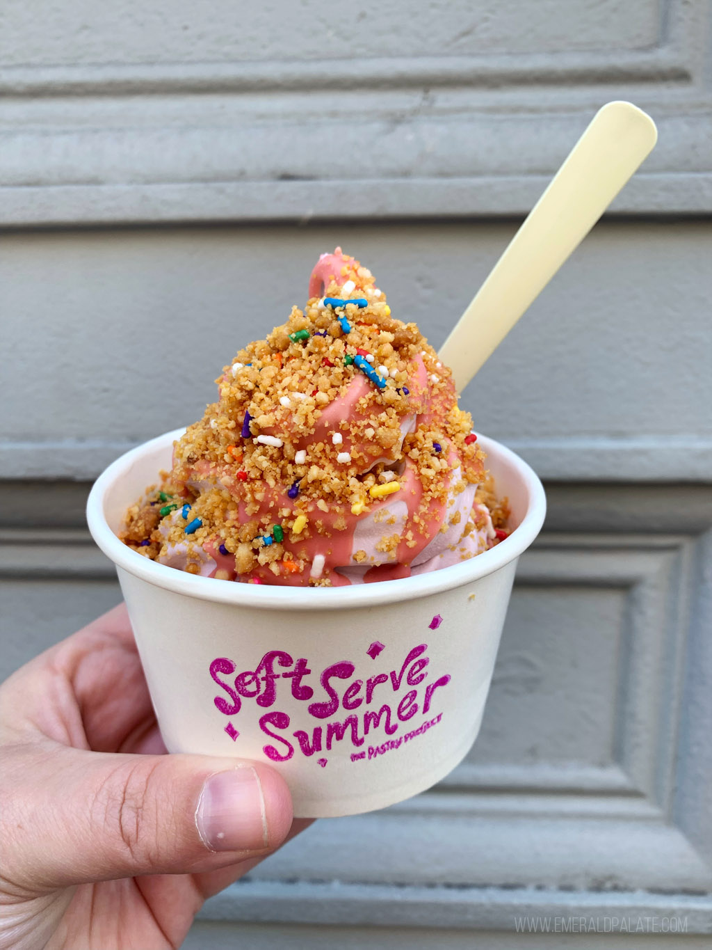 person holding a cup of soft serve ice cream topped with sprinkles and nuts