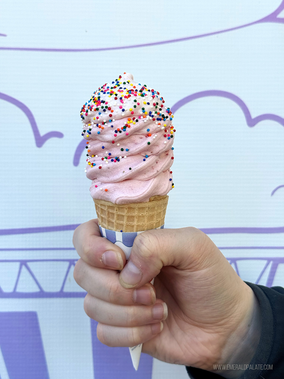 Person holding a cone of soft serve with rainbow sprinkles