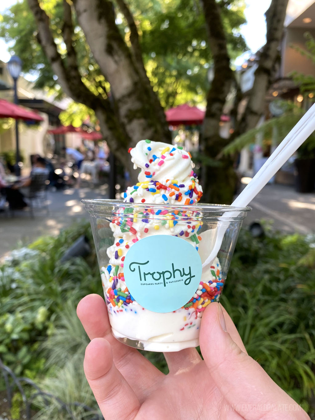 soft serve vanilla ice cream with rainbow sprinkles from one of the best ice cream shops in Seattle