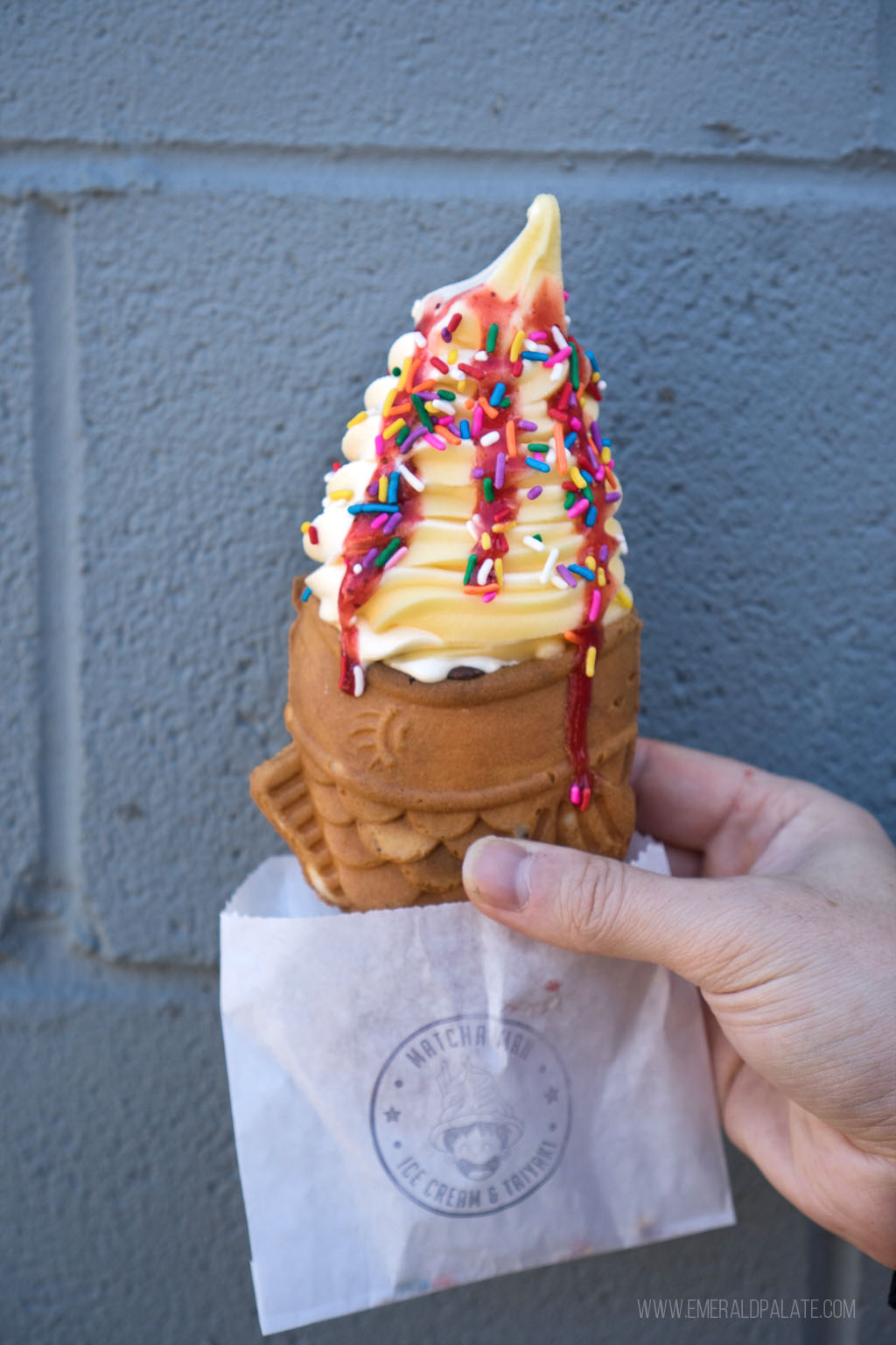 person holding an ice cream cone in a fish shaped taiyaki cone