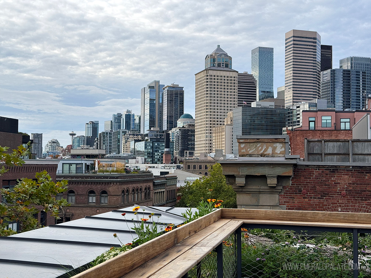 rooftop brewery in Seattle view of Seattle skyline from a Seattle rooftop bar