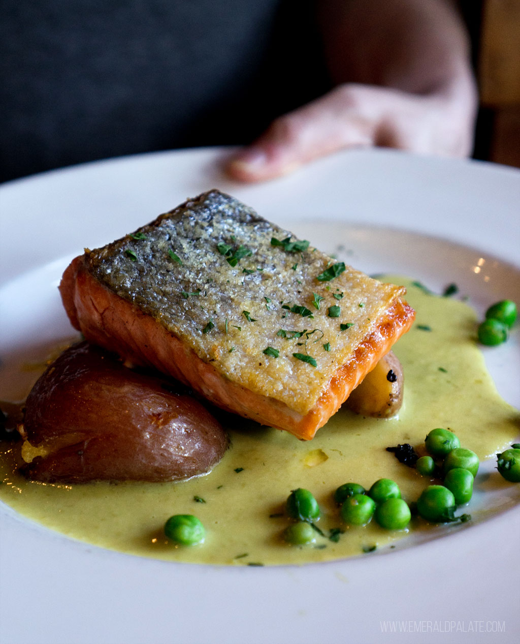person holding dish of salmon with peas from Marche in Fifth Street Public Market