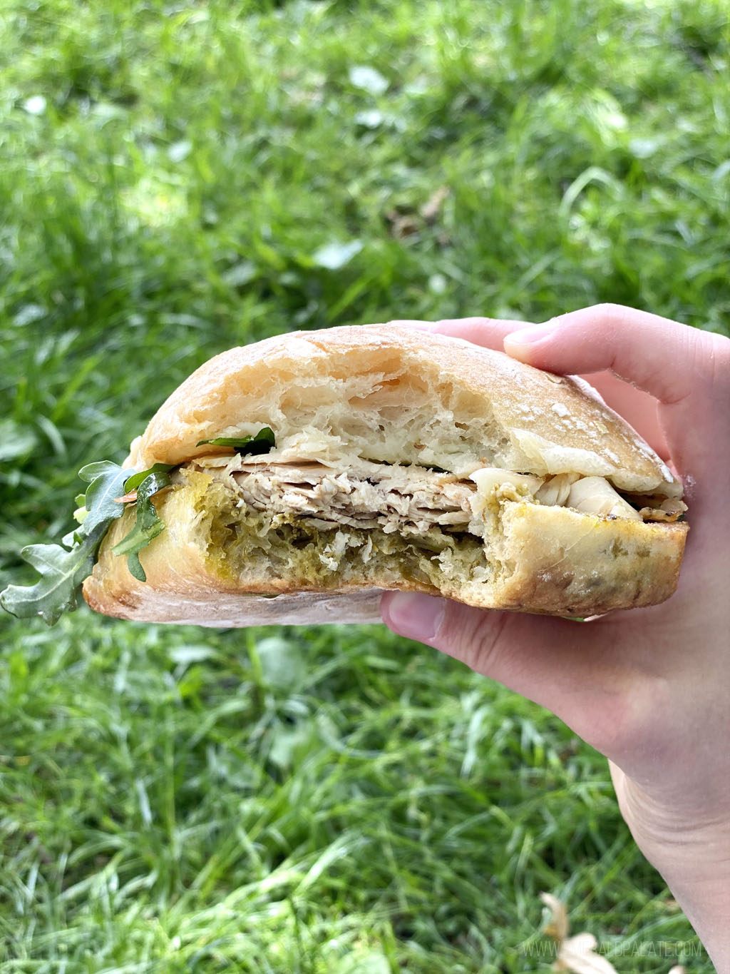 person holding a half eaten chicken roll from one of the best Seattle sandwich spots