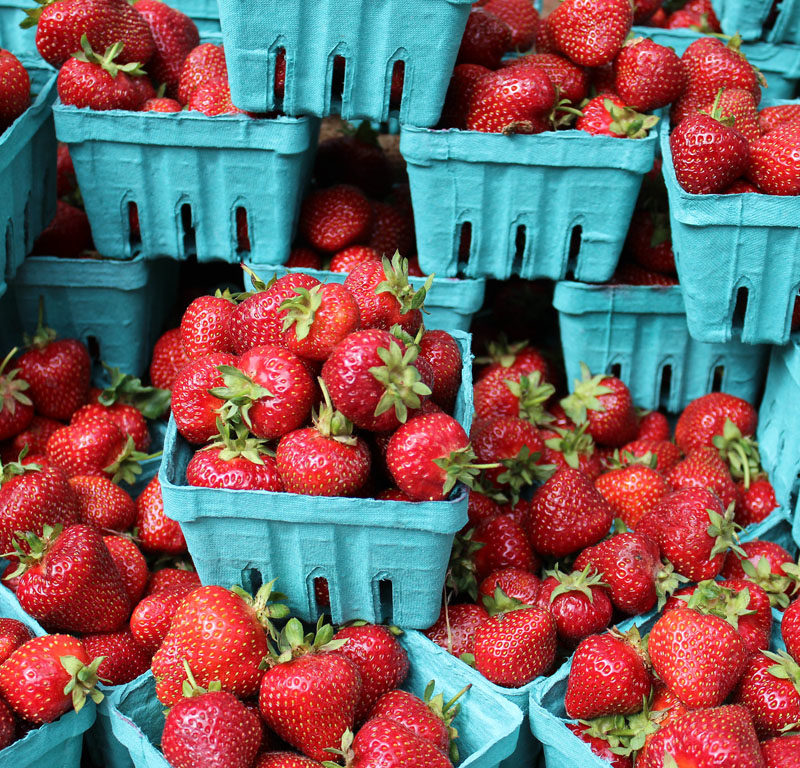 Best Seattle Farmers Markets and What to Expect at Each