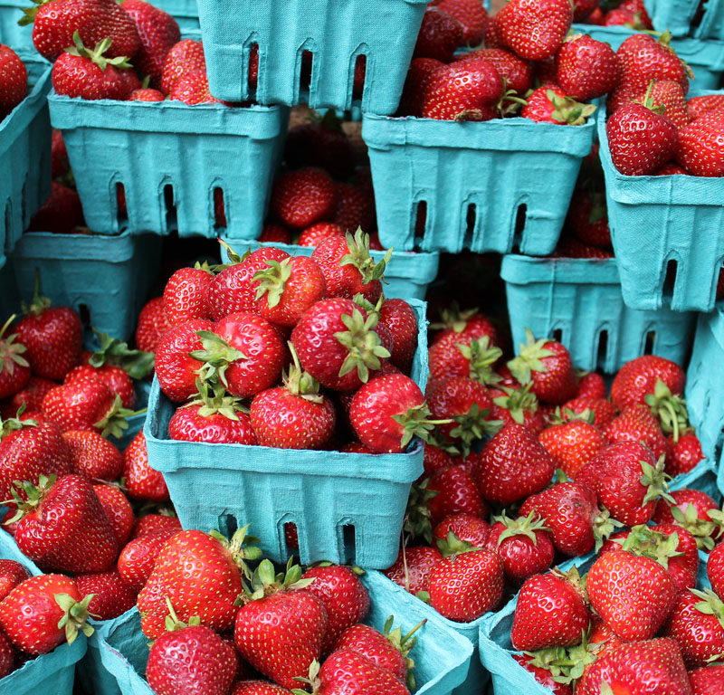 best Seattle farmers markets