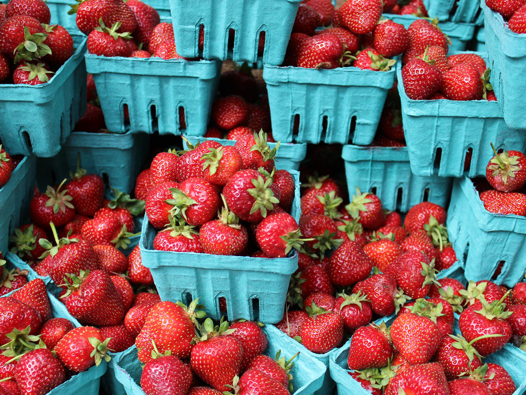 strawberries from one of the best Seattle farmers markets