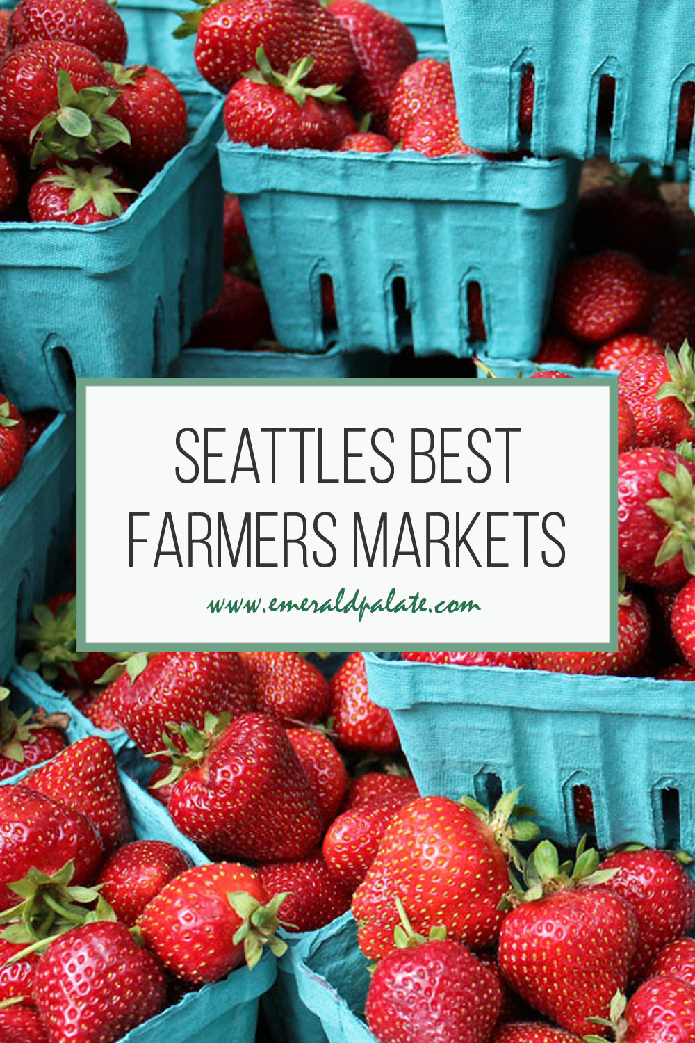 Seattles best farmers markets, as told by a local. Discover which are seasonal vs. year round markets, can't miss vendors, and what time to visit each market in Seattle. Get ready to visit Washington farms and buy the best Seattle souvenirs from makers!