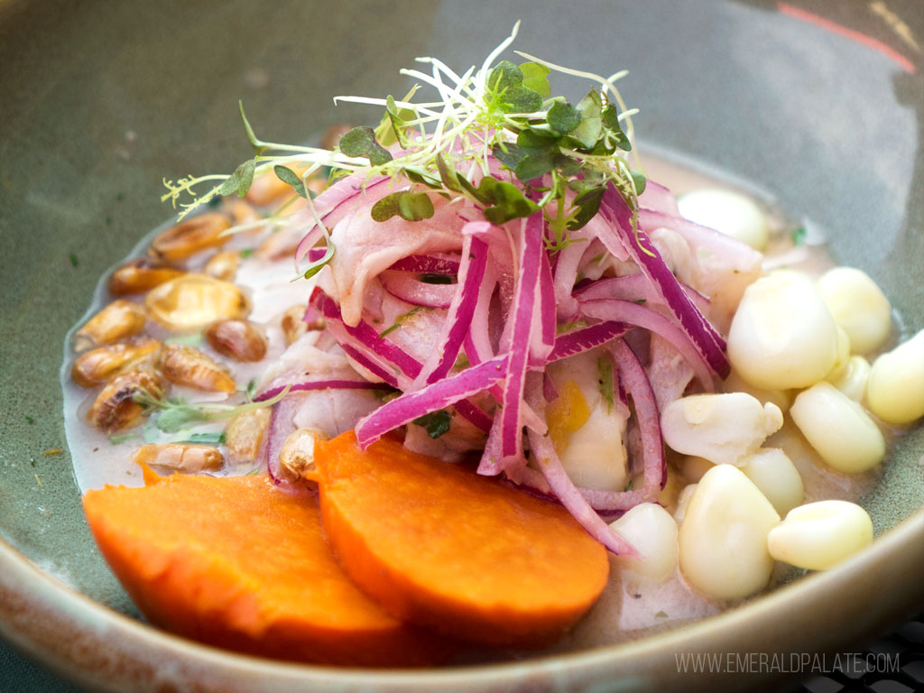 Seattle's best ceviche