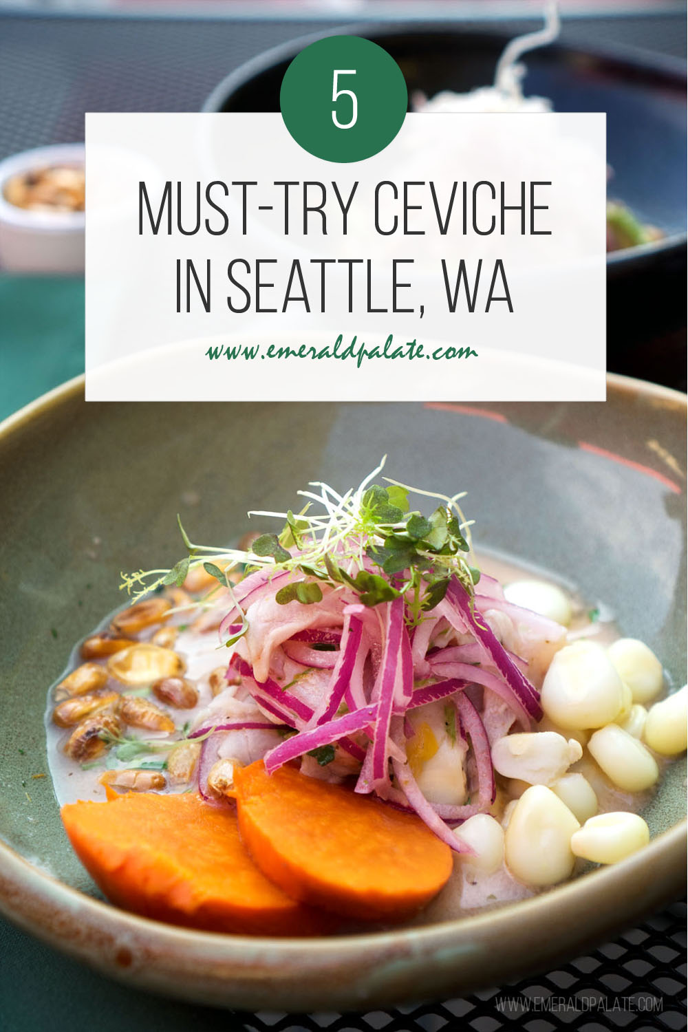 must-try ceviche in Seattle, Washington. If you are looking for authentic Peruvian ceviche of Mexican ceviche, here is where to find the best Seattle ceviche.
