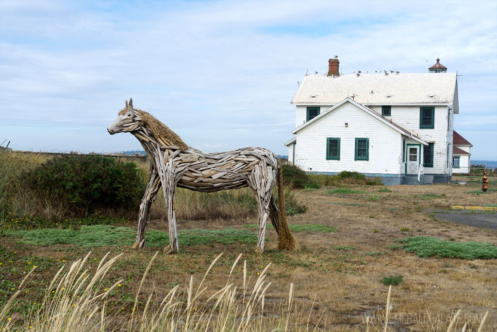horse made of drift wood at a beach in Port Townsend, WA