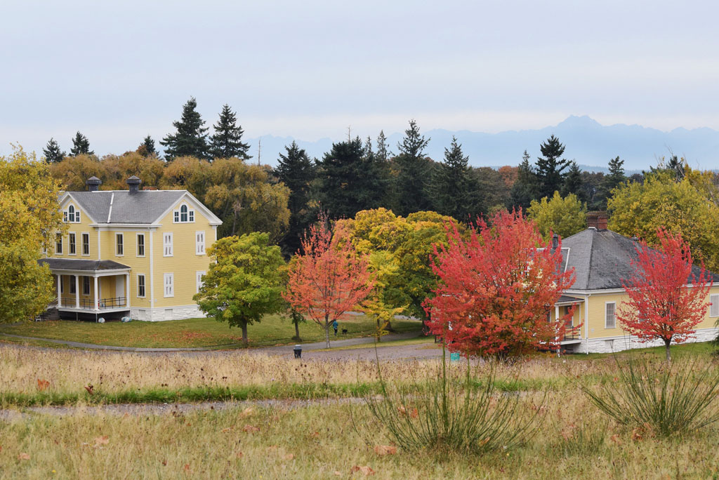 Discover Park showing the best fall foliage in Seattle