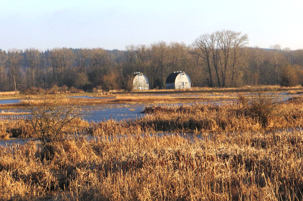 wildlife refuge during fall