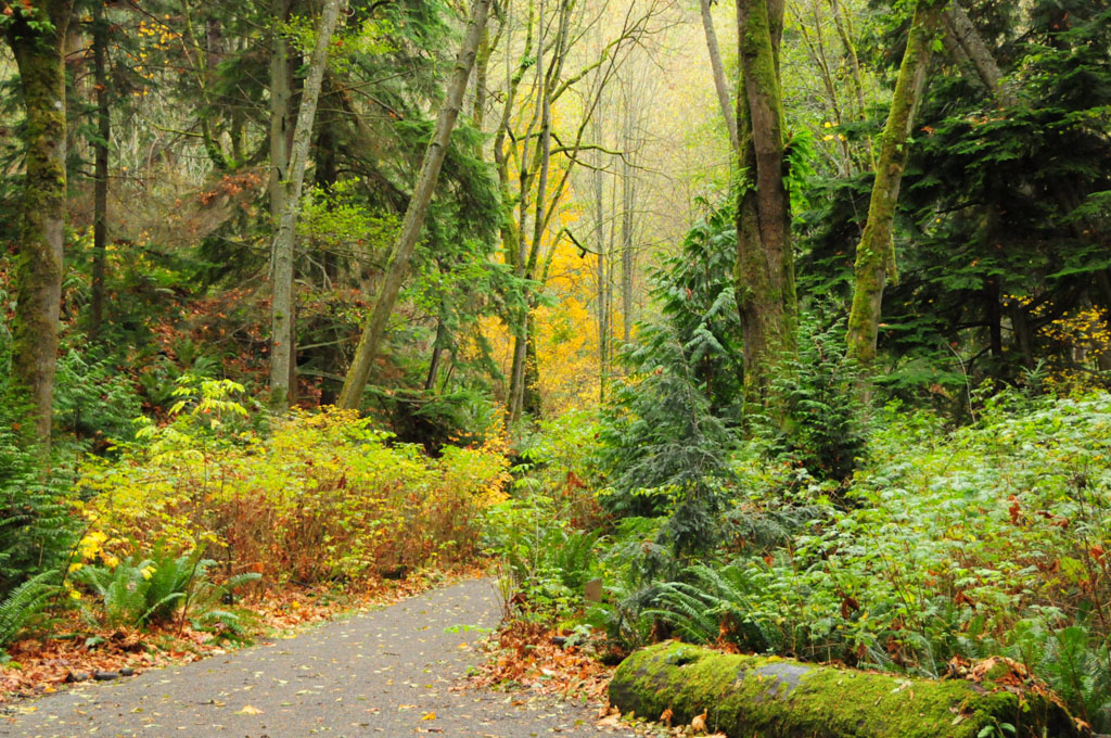 Carkeek Park in Seattle during fall