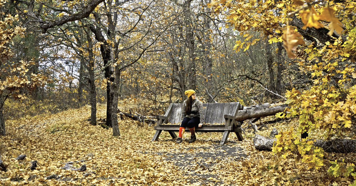 Where to Find the Best Fall Foliage in Seattle (2023) The Emerald Palate