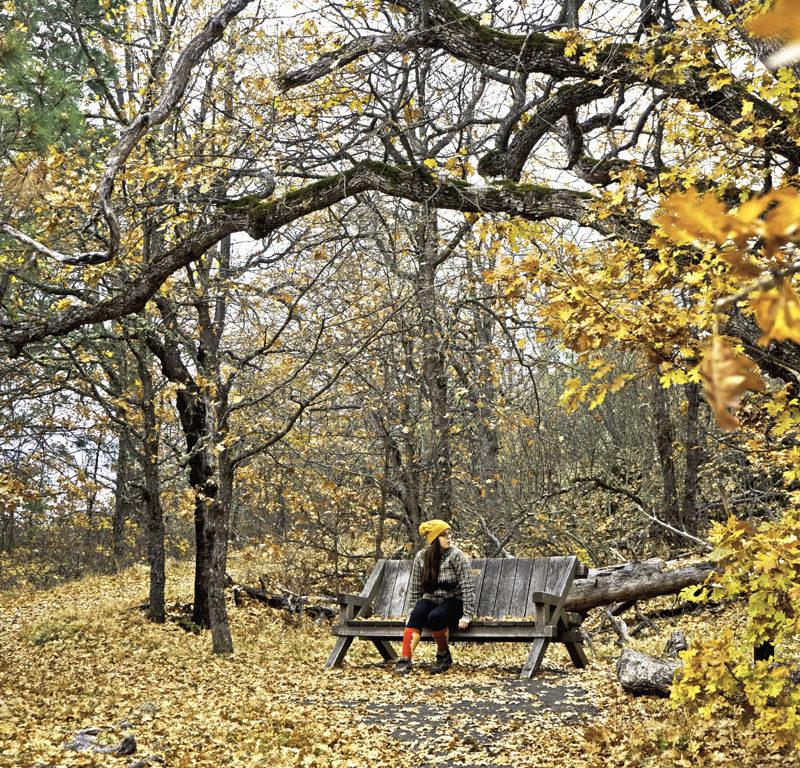 Where to Find the Best Fall Foliage in Seattle