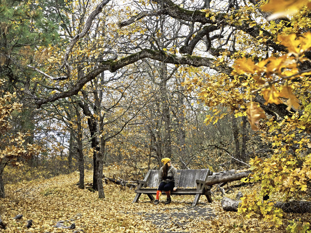 woman sitting on bench among best fall foliage in Seattle