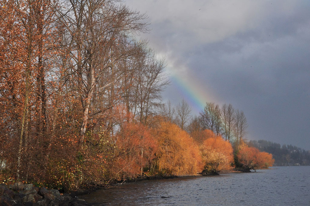 best fall foliage in Seattle with a rainbow in background