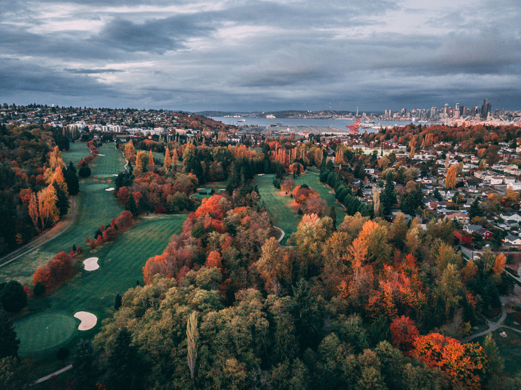 aerial view of the best fall foliage in Seattlle