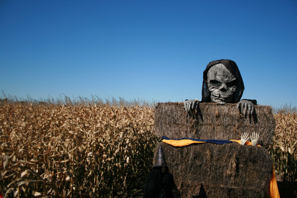skull reaper decorations by a corn field, one of the fun Halloween activities to do in Seattle