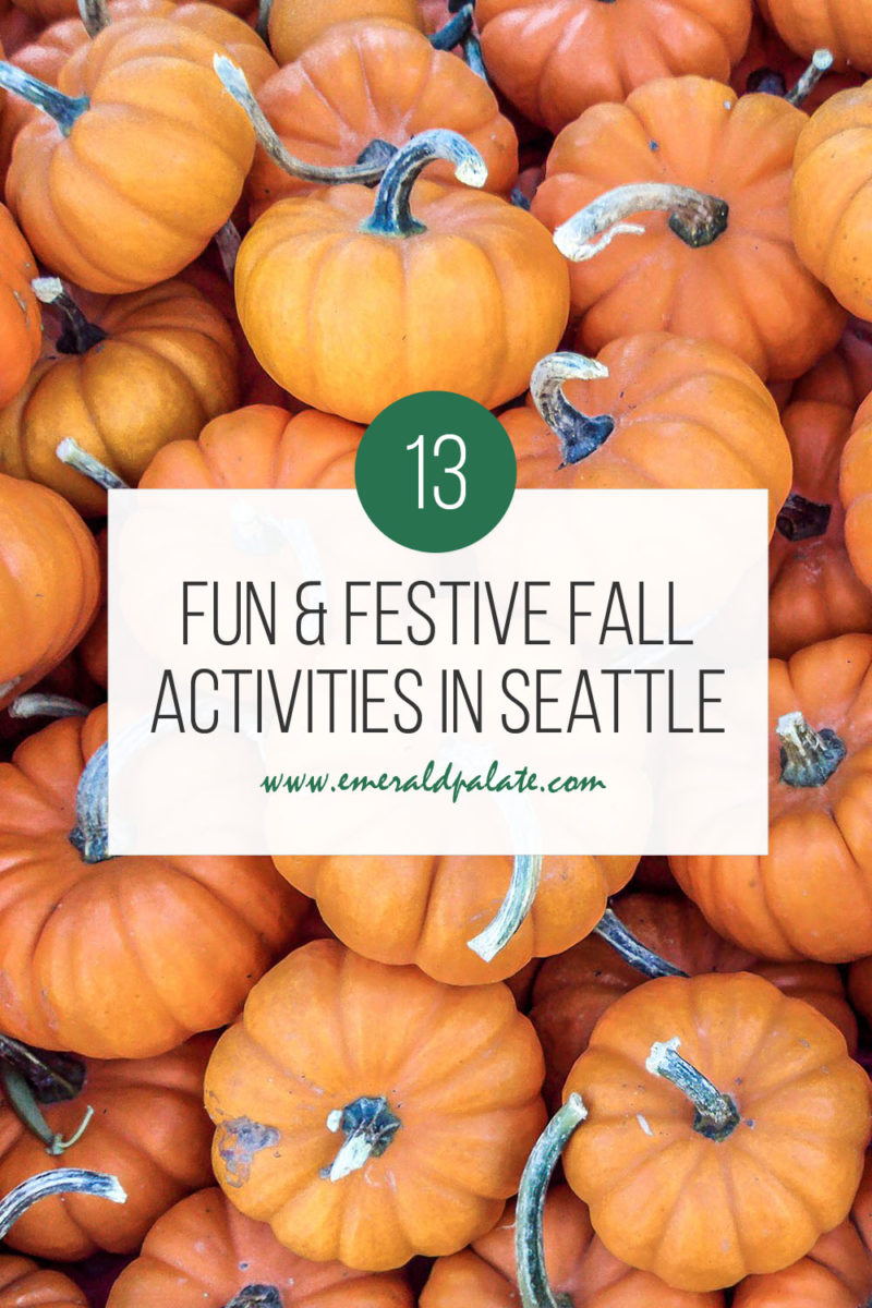 13 Fun Things to Do During Fall in Seattle (2025) - The Emerald Palate
