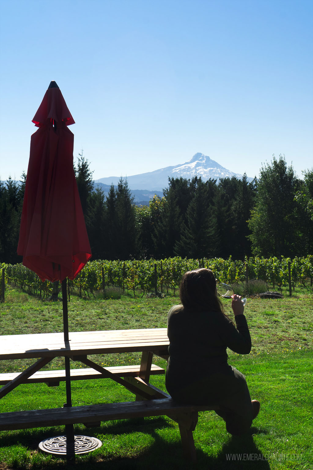 woman drinking wine on a picnic bench with Mt Hood in distance at one of the best Columbia Gorge wineries