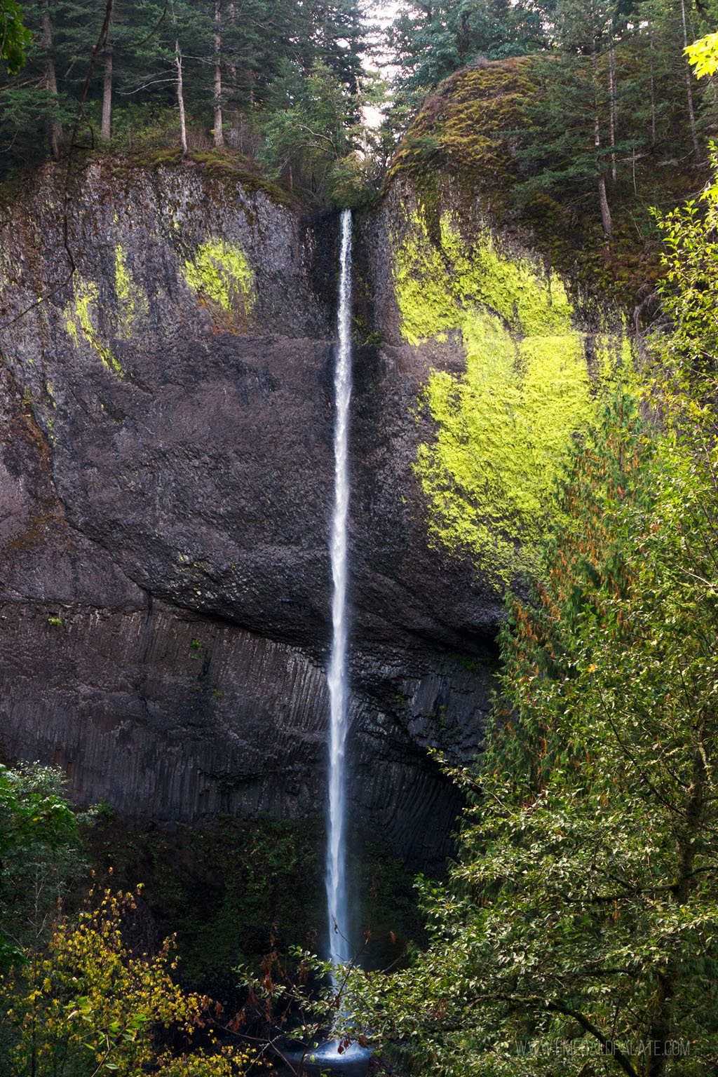 Latourell Falls, a must see on any Columbia River Gorge itinerary