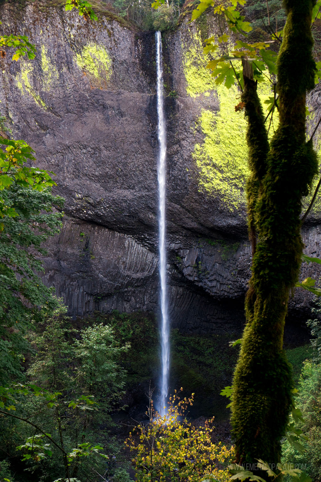 view of Lautourell waterfalls cascading down rocks in Columbia River Gorge
