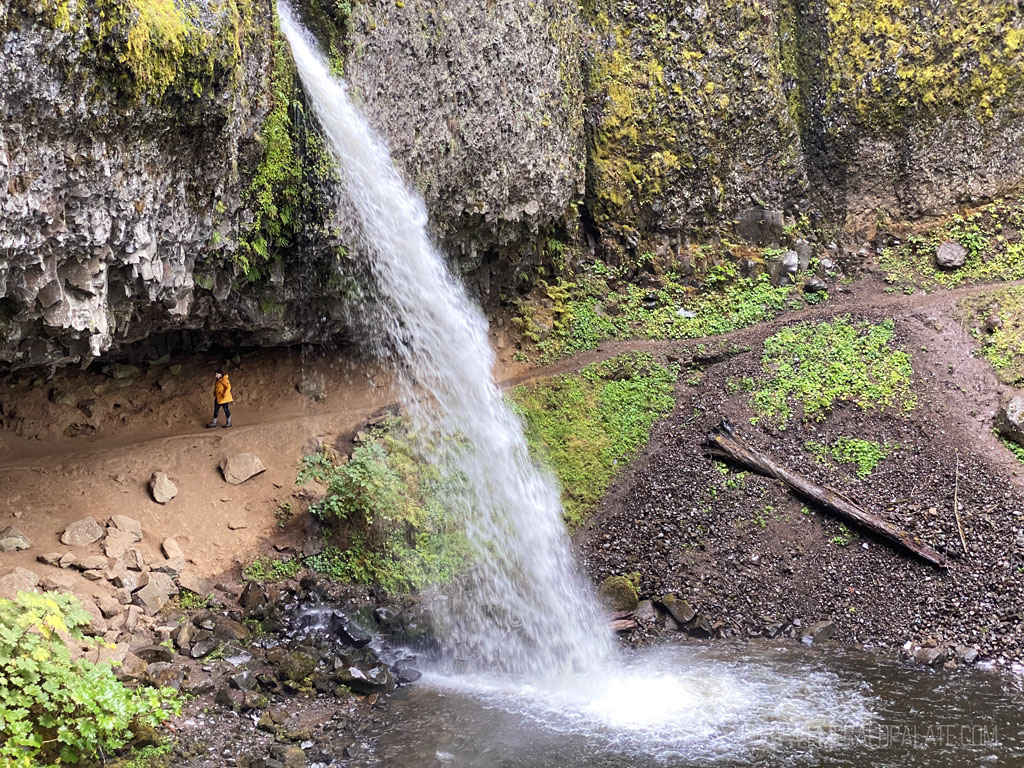 woman walking behind Horsetail Falls in Columbia River Gorge