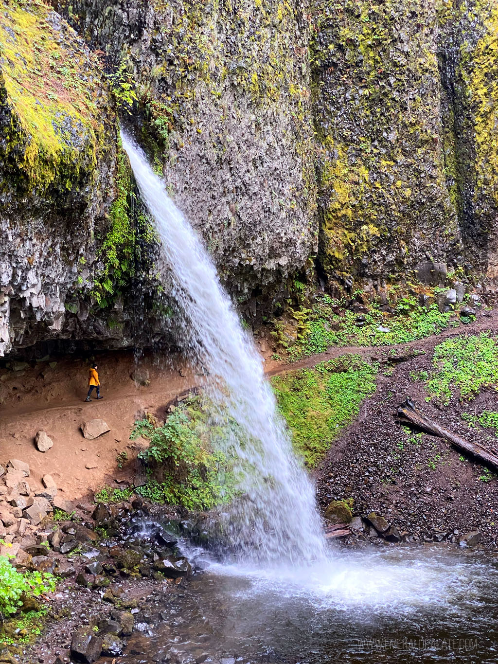 woman walking behind waterfall