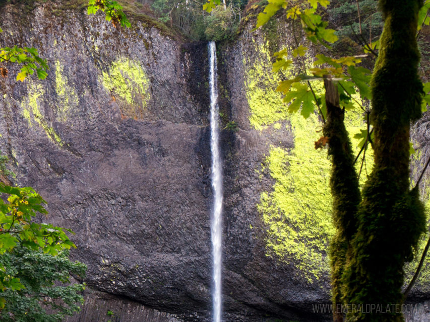 The Definitive Columbia River Gorge Waterfalls Map The Emerald Palate the-definitive-columbia-river-gorge-waterfalls-map-the-emerald-palate
