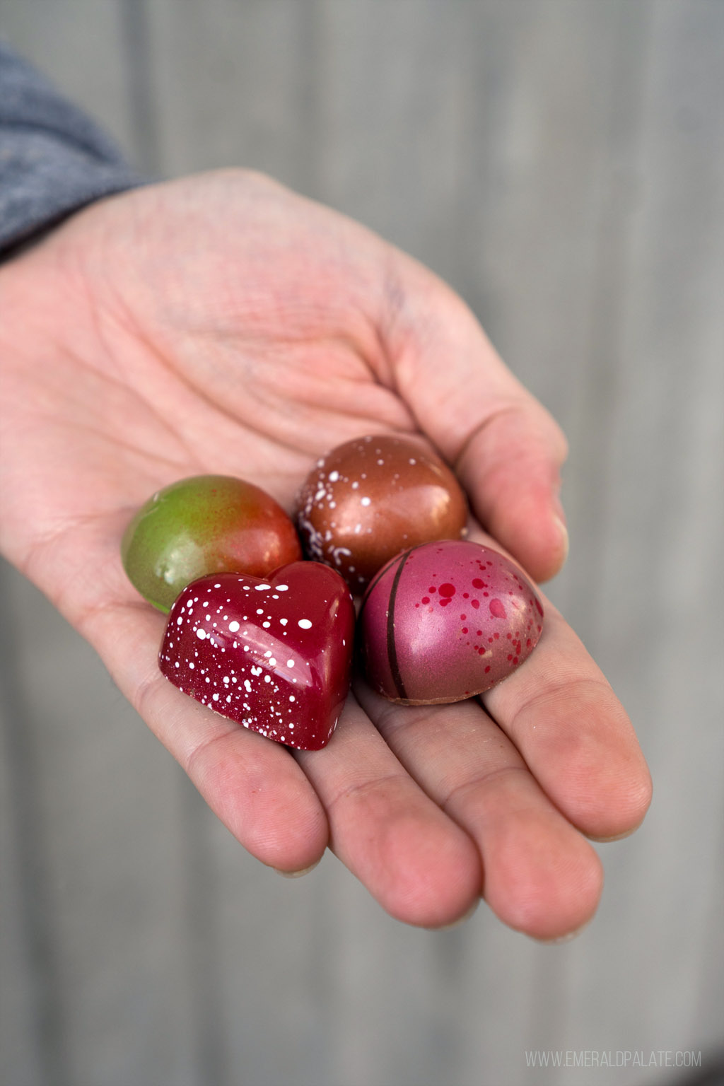 person holding 4 colorful chocolate confections
