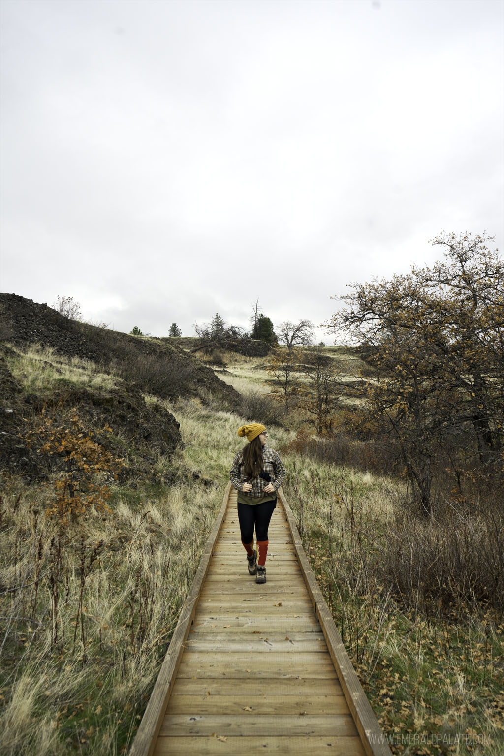 woman walking on a boardwalk in a park in Columbia River Gorge