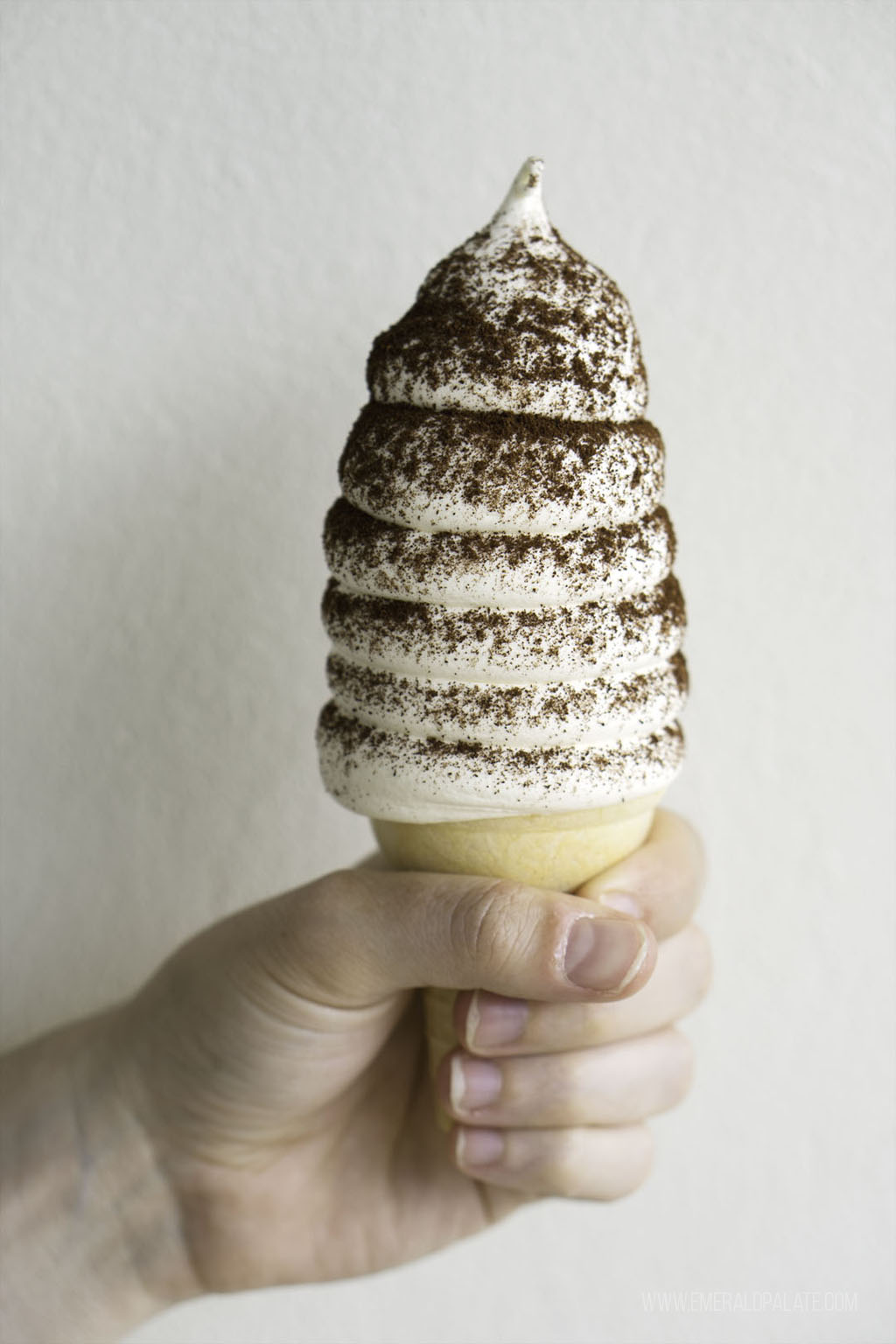 person holding soft serve ice cream cone from a fun place to eat in Portland