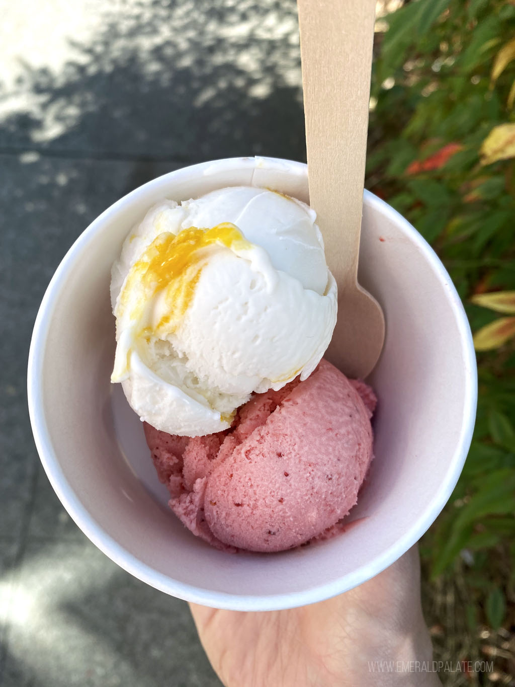 person holding a cup of ice cream from Fifty licks in Portland