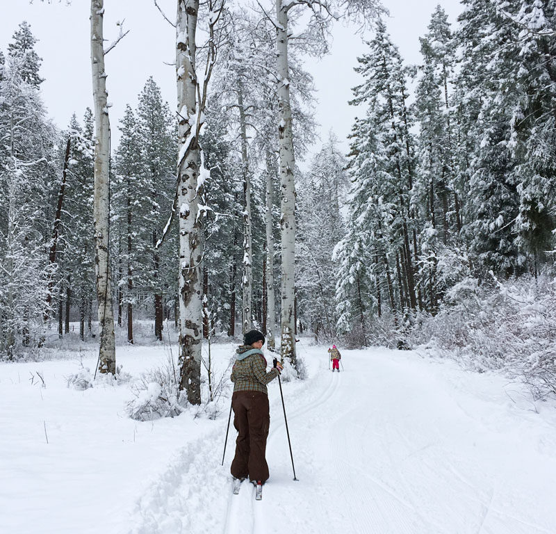 cross country skiing, one of the best Things to do in Leavenworth WA in Winter
